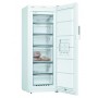 BOSCH CONGELATEUR ARMOIRE 161CM  - VOLUME NET: 200L - GSN29EWEVP